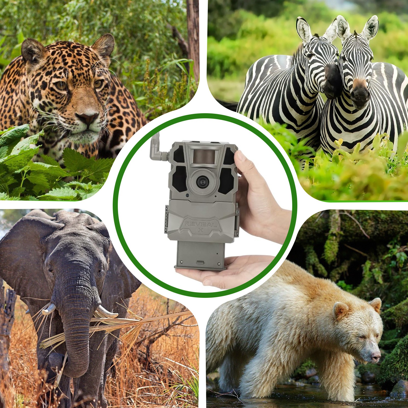 FOR TACTACAM Reveal Lipo Lithium Battery Pack for Reveal X Gen 3.0, 2.0