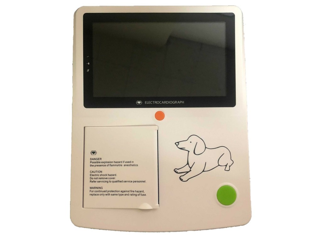 Dog Electrocardiograph