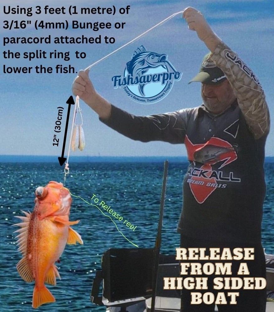 Fish descending release device compact NOAA compliant for deep drops