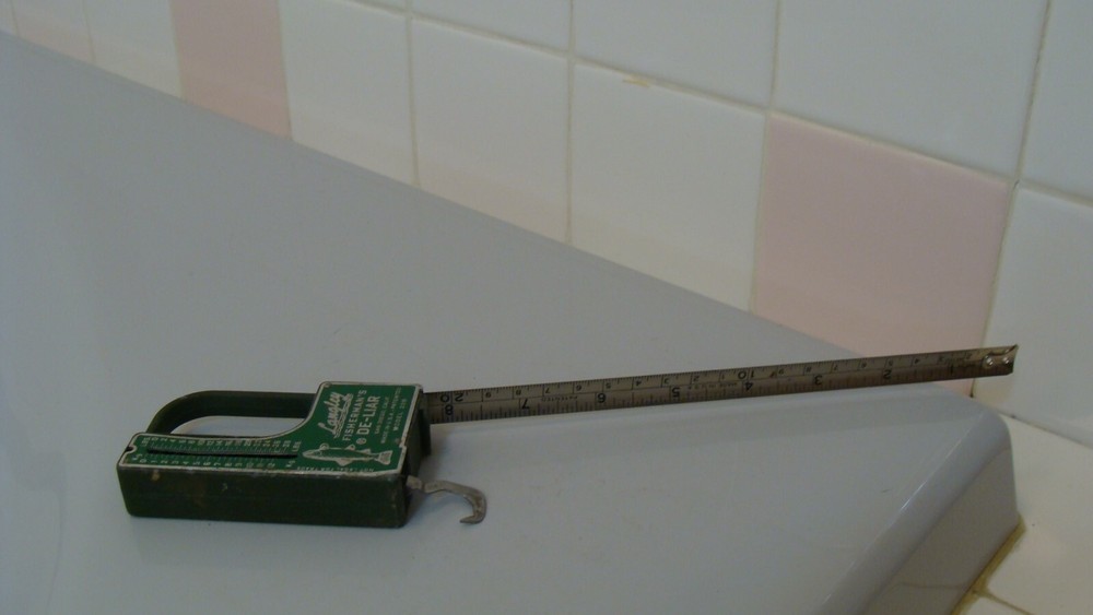 Langley Fisherman's Scale De-Liar Model 228