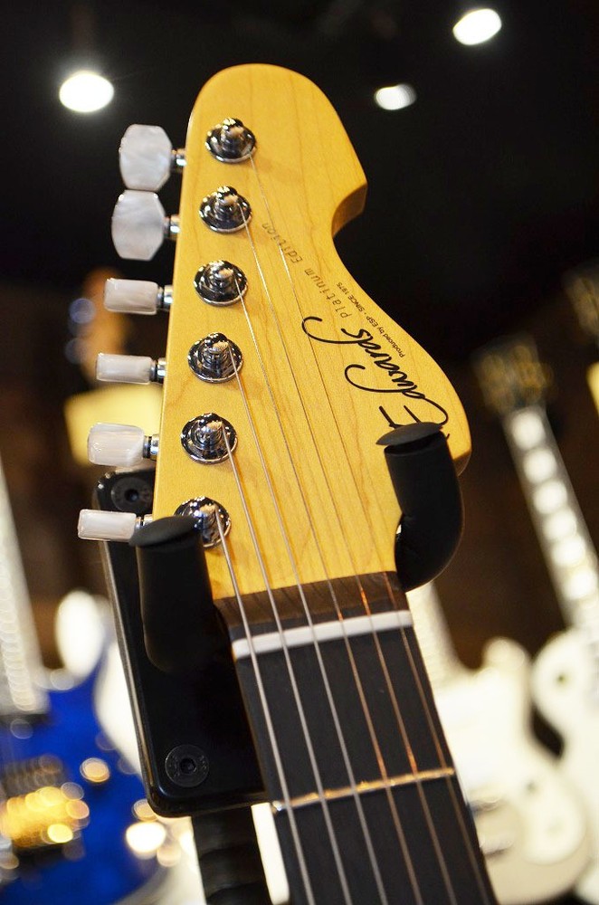 EDWARDS Platinum Edition KARMASTER