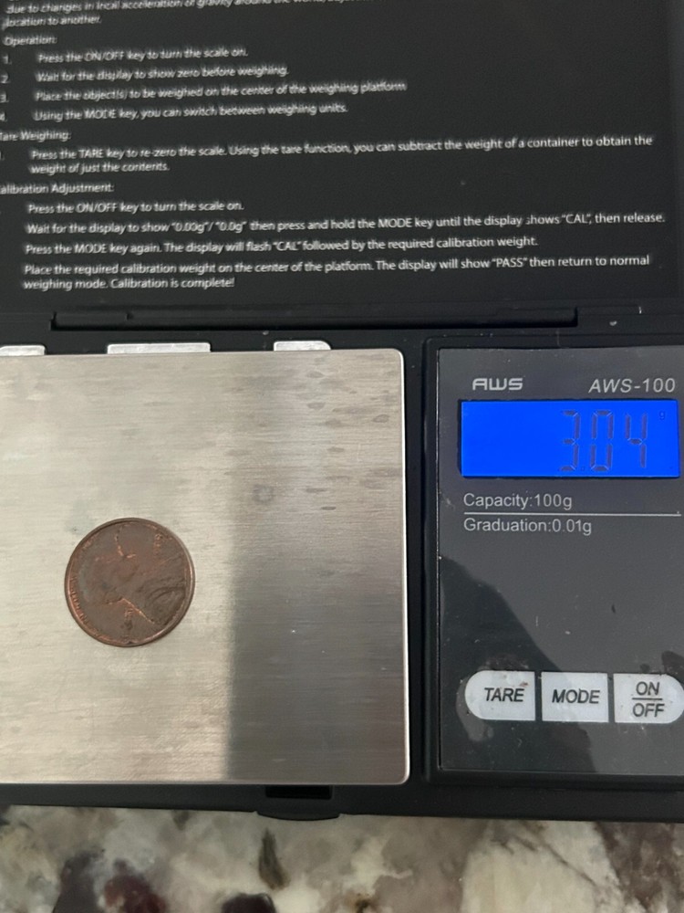 1973 Lincoln Penny No Mint Mark "buffalo?" Error