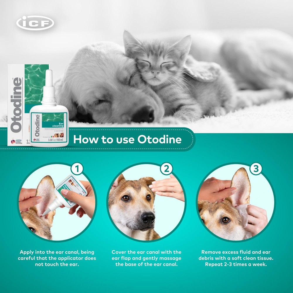 ICF Otodine Dog Ear Cleaner Solution - Veterinary Formula for Itchy Ears