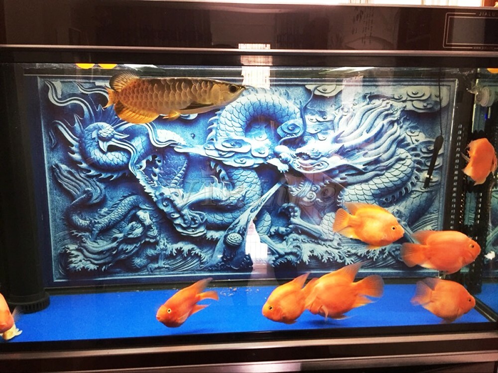 Aquarium Background Poster Dragon Cameo PVC 3D Fish Tank Decorations Landscape