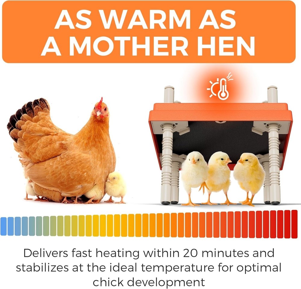 Chick Brooder Heating Plate with anti Stand Cone 10" x 10" x 8" Brooder Heater