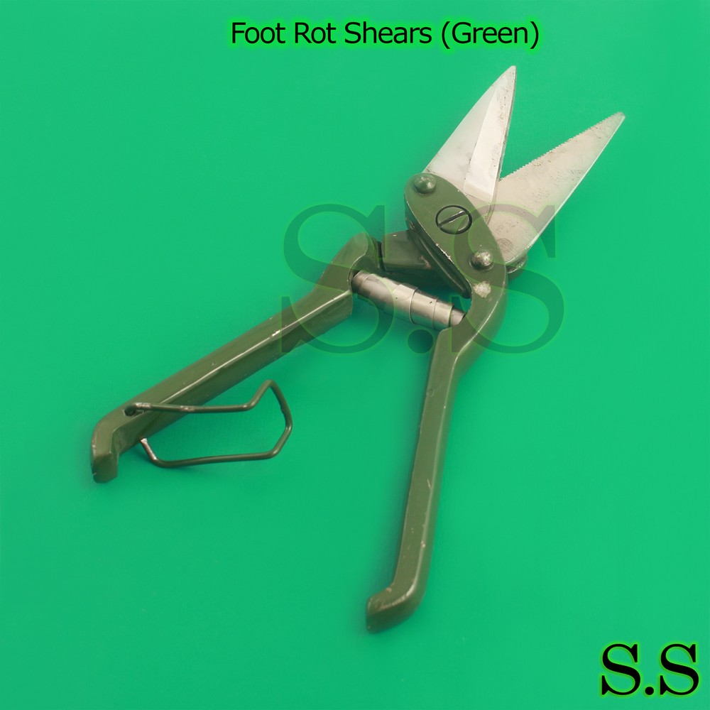 Foot Rot Shears (Green Painted) Veterinary Instruments