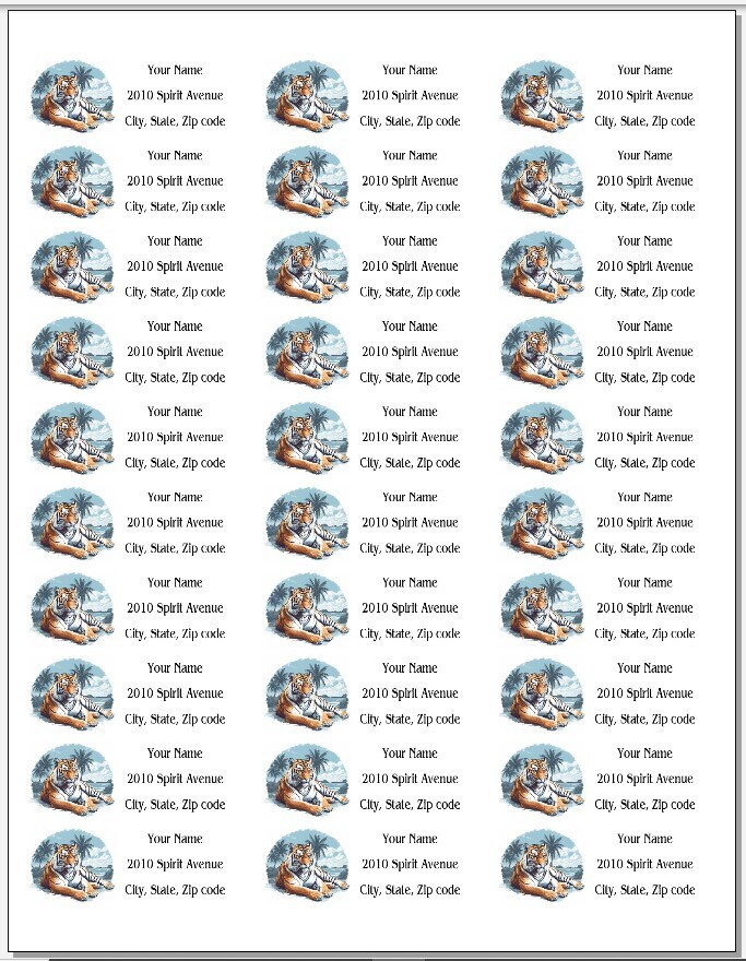 150 Bengal Tiger on Beach Mailing Return Address Labels Personalized