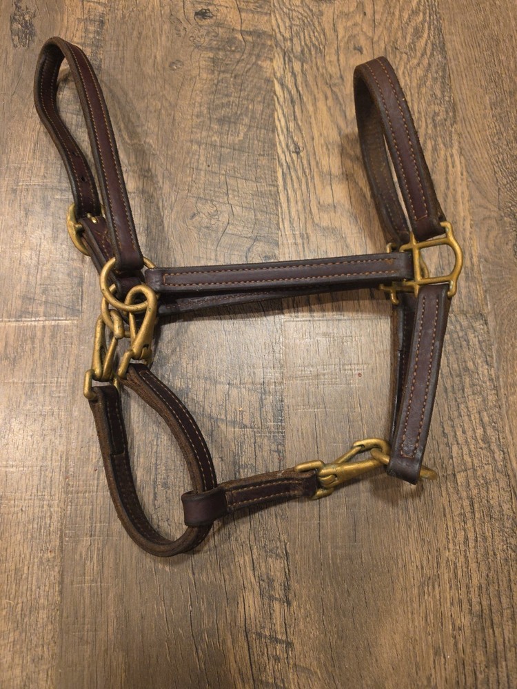 Leather Halter Cob