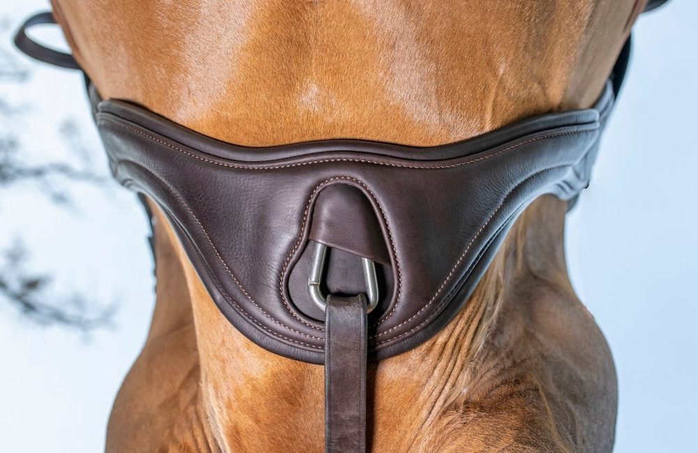 LeMieux Gel-Tek Anatomic Jumping Girth