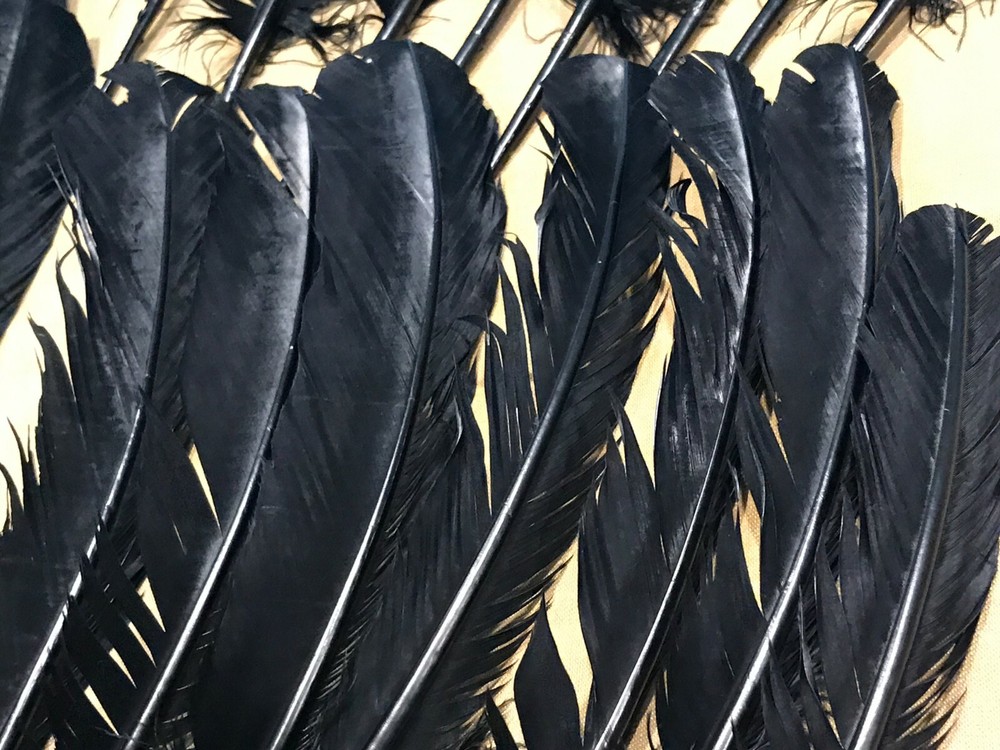 Dyed Black Turkey Feathers, 1/2 Pound, #2 Quality