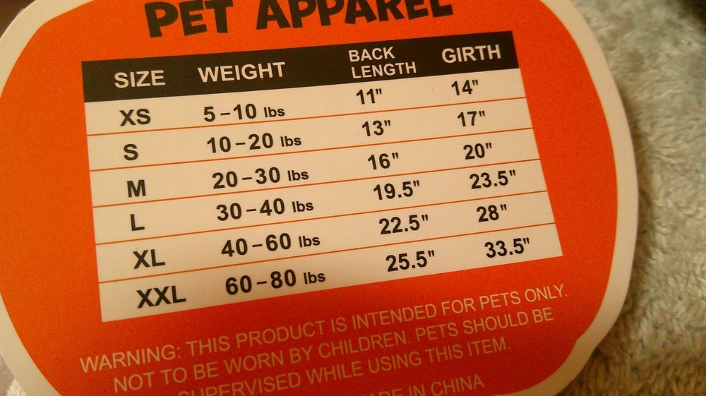 Hello Pumpkin Size Medium Pet Apparel New With Tag