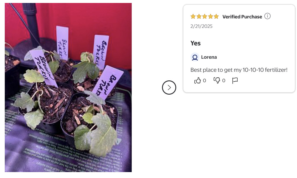 Expert Gardener All Purpose Plant Fertilizer, 10-10-10 Fertilizer, 40 lb.