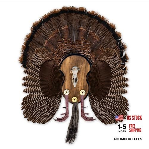 Ultimate Turkey Plaque by Illusion | Turkey Mounting Kit | Rustic Wall Mount