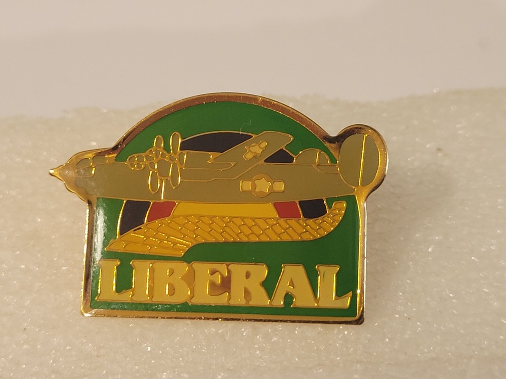 Liberator Fighter Airplane Liberal Pin