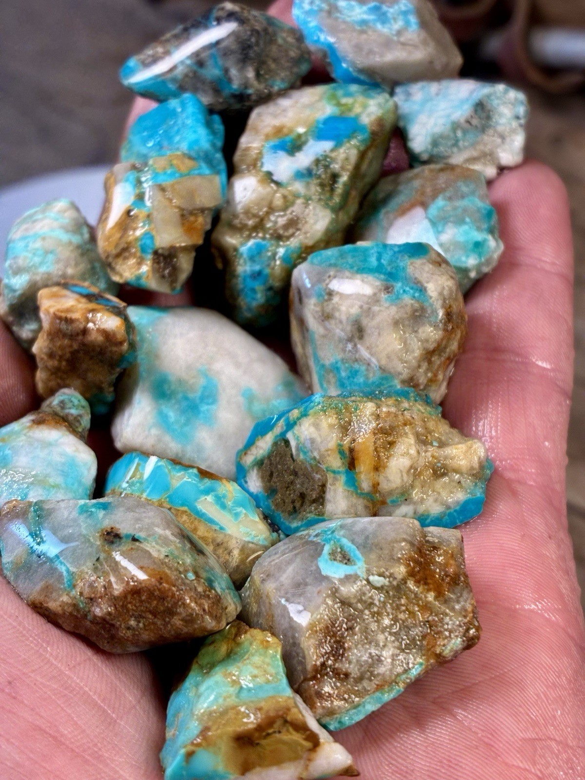 1 Lb of Skinny Turquoise Mountain Nugs! Now Available Again! ￼