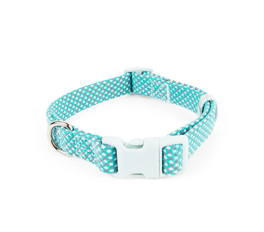 YOULY The Protector Teal Reflective Dog Collar, Small