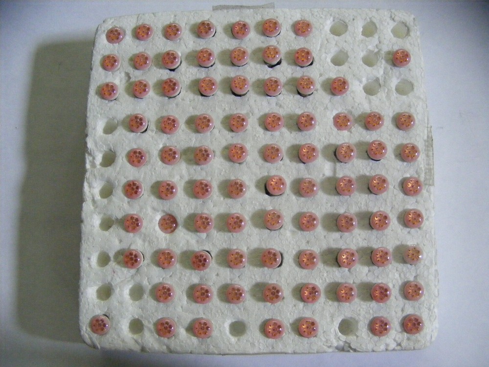80 Plus Panel Lights Bulb Lamp Replacements 12v Red