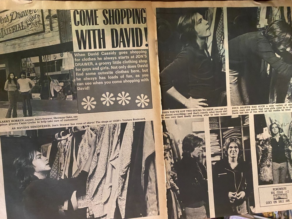 David Cassidy, Two Page Vintage Clipping