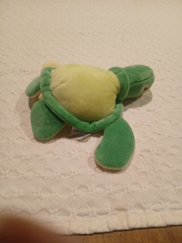 Endangered Species Turtle