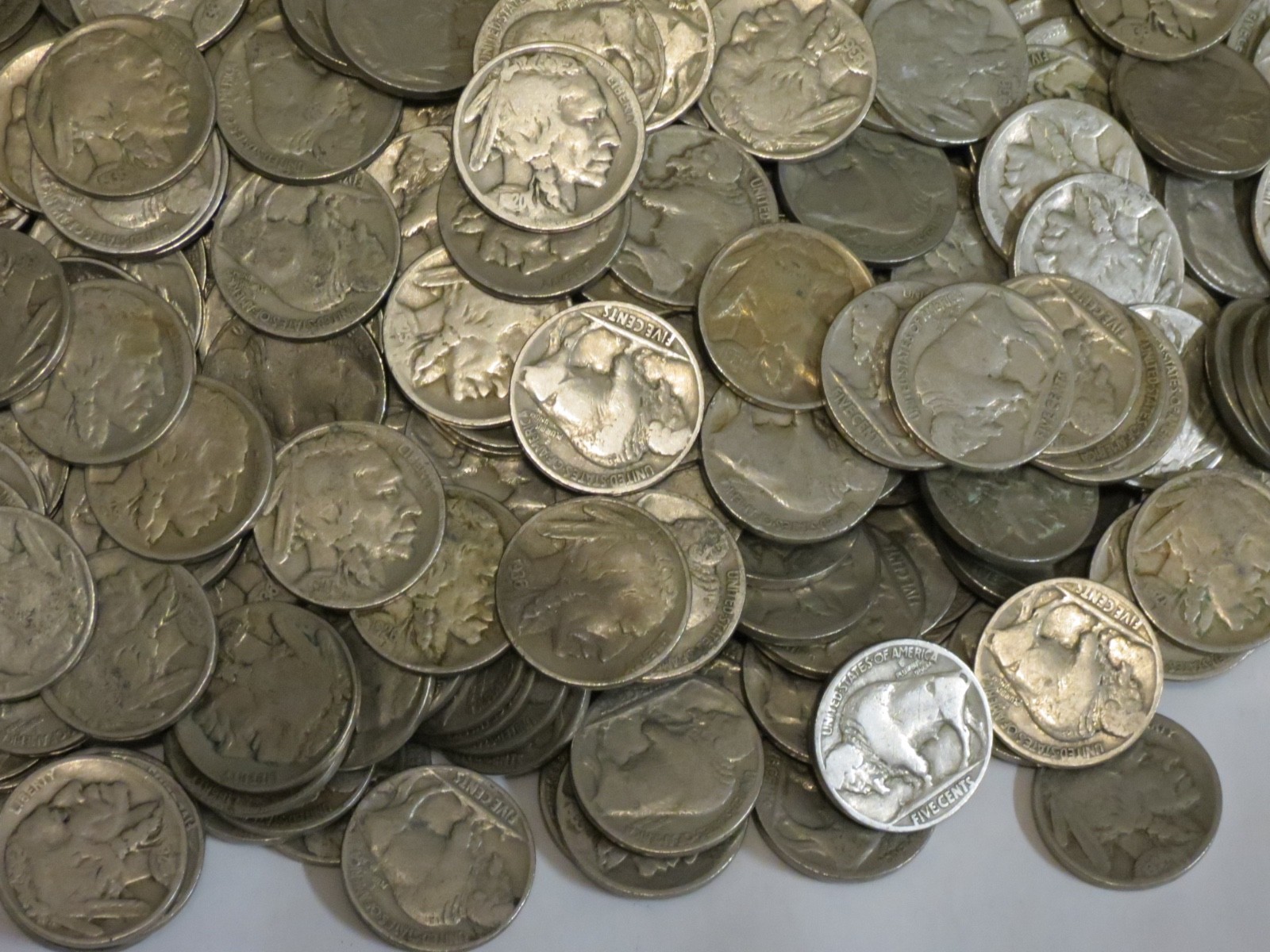 500 Buffalo Nickels Bulk Lot P Mint Only Part Date to Strong Part Date 5c Coins