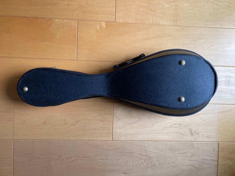 Mandolin 8 string spruce body