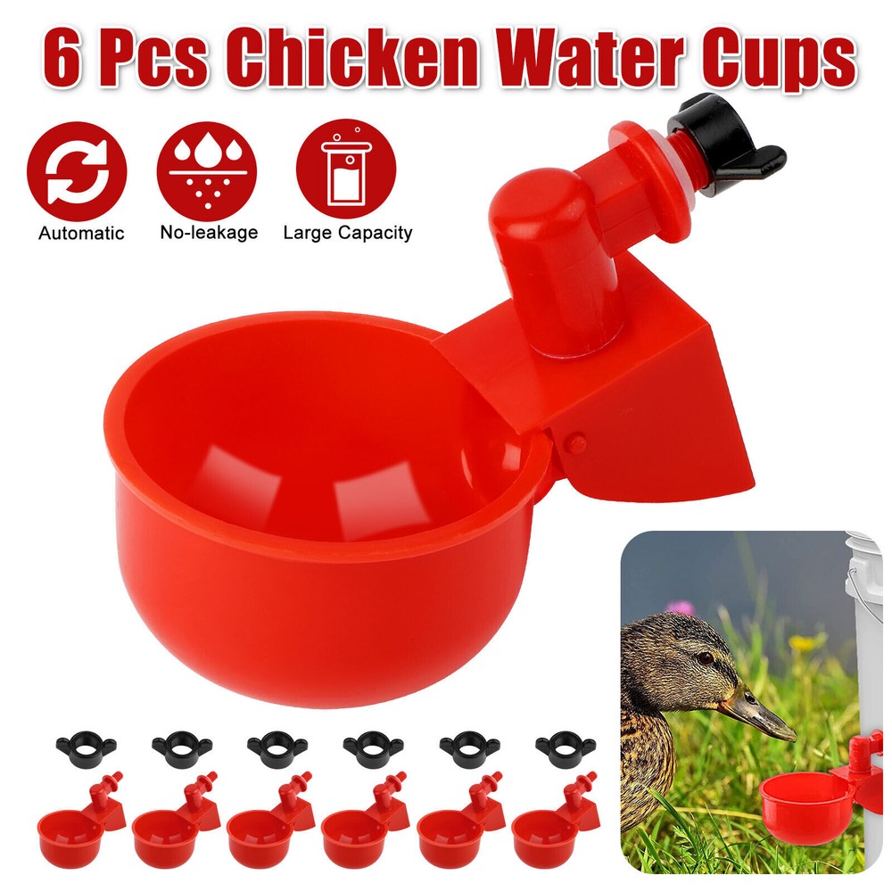 6PCS Automatic Water Cups Poultry Drinker Waterer Chicken Duck Quail Drinking US