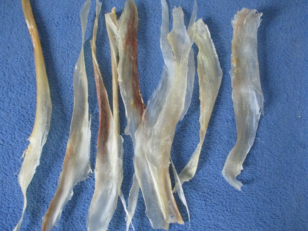 10 real deer back sinew XL native thread bow backing sewing for beading X1