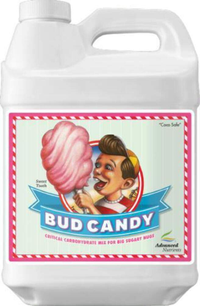 Bud Candy 500Ml