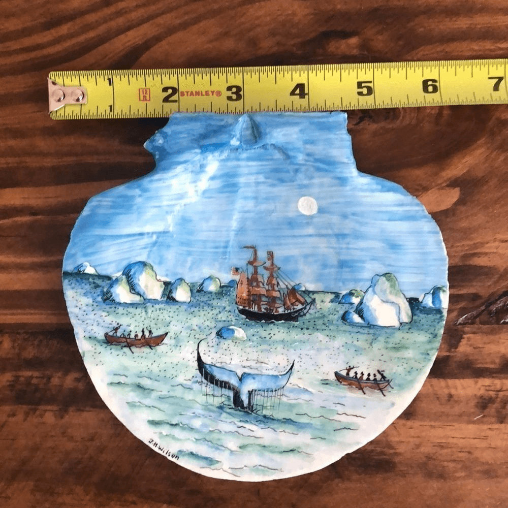 Beautiful Hand painted scallop shell - Maine Ocean