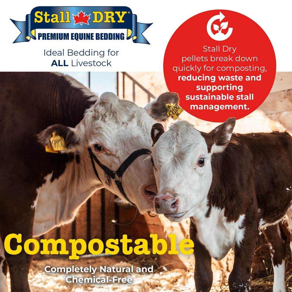 Progressive Planet Stall Dry Premium Equine Bedding Pellets, 35lbs