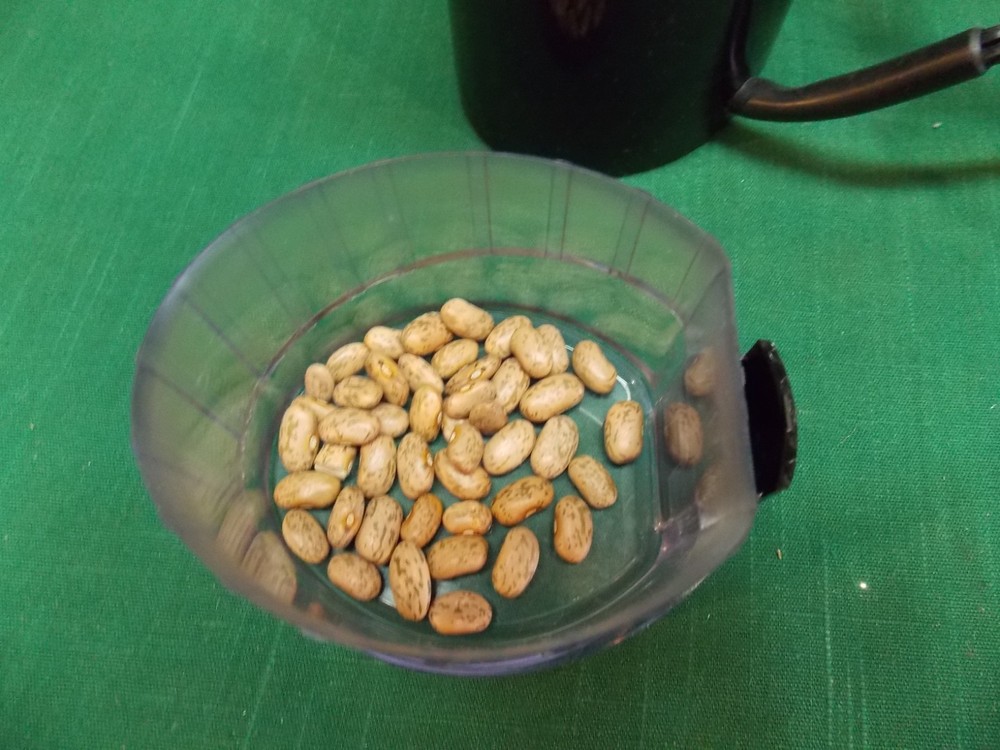 KRUPS fast touch electric coffee mill grinder. Type 203