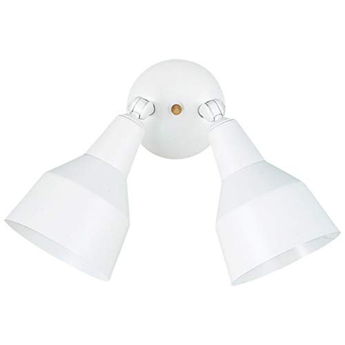 8607-15 Flood Light Outside Fixture, Two White