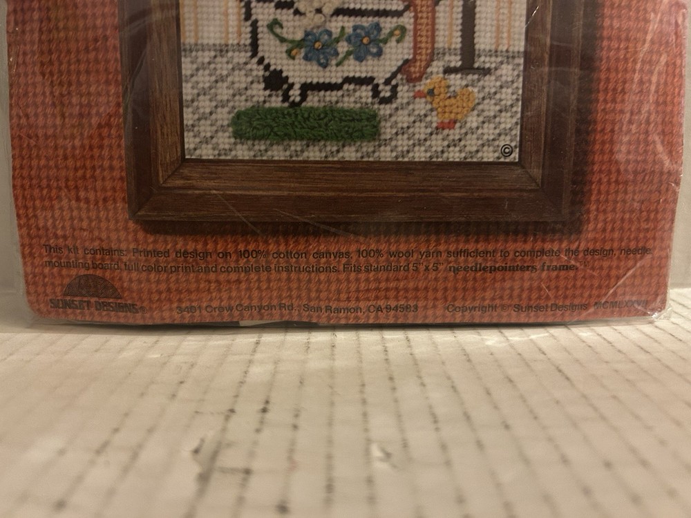 Saturday Night Bath Needle Pointers Sunset Designs Needlepoint Kit #5767
