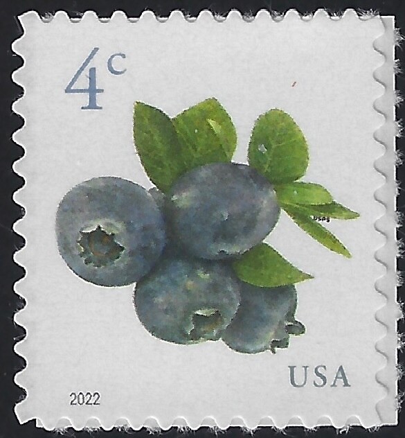 SCN 5652,  4c Blueberries, MOGNH