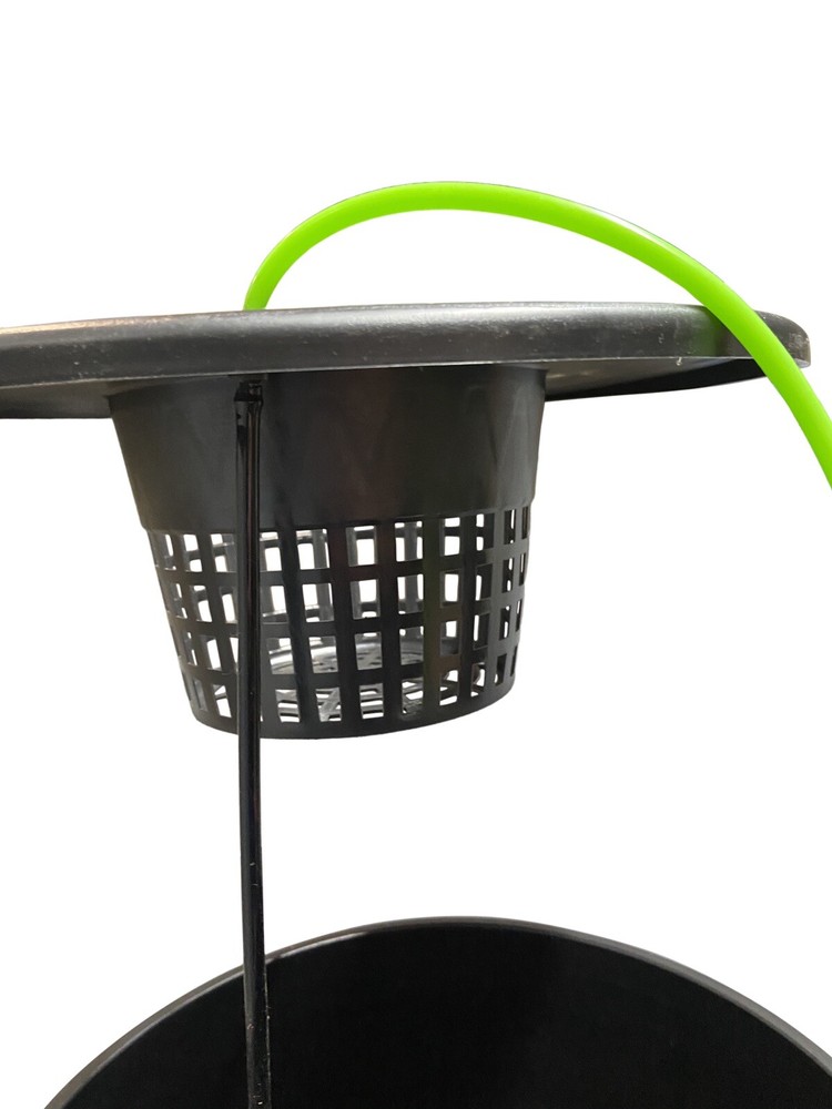 RDWC System. Versatile Hydroponics, LTD. For Compact Grow Area. Set Up In Mins.