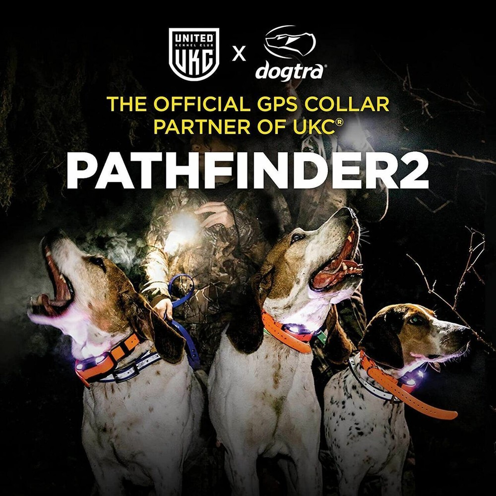 Dogtra PATHFINDER2 GPS 2 Dog Tracking, Training, E-Fence & LED Beacon Light Col