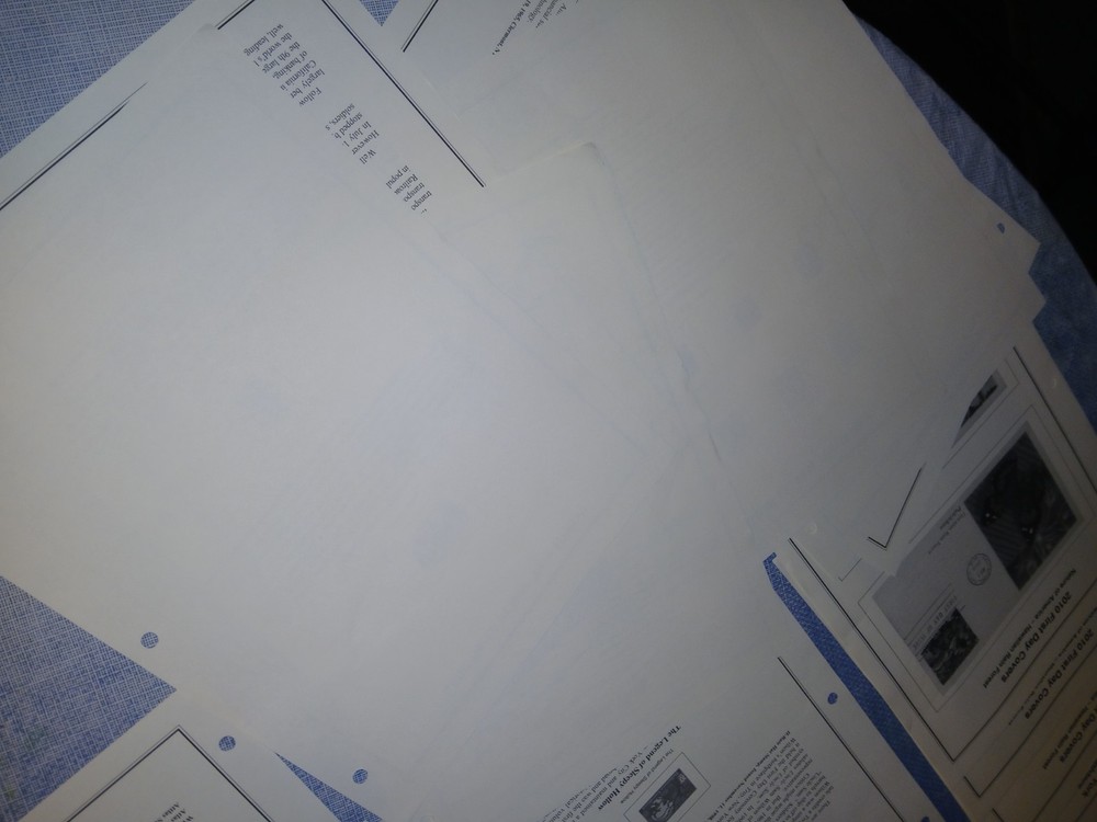 New York History 21 Clean Album Pages For Stamps/Covers Mystic Co. 2020 New