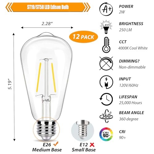 4000K Cool White LED Edison Bulbs 25W 12 Count (Pack of 1) 4000k Cool White