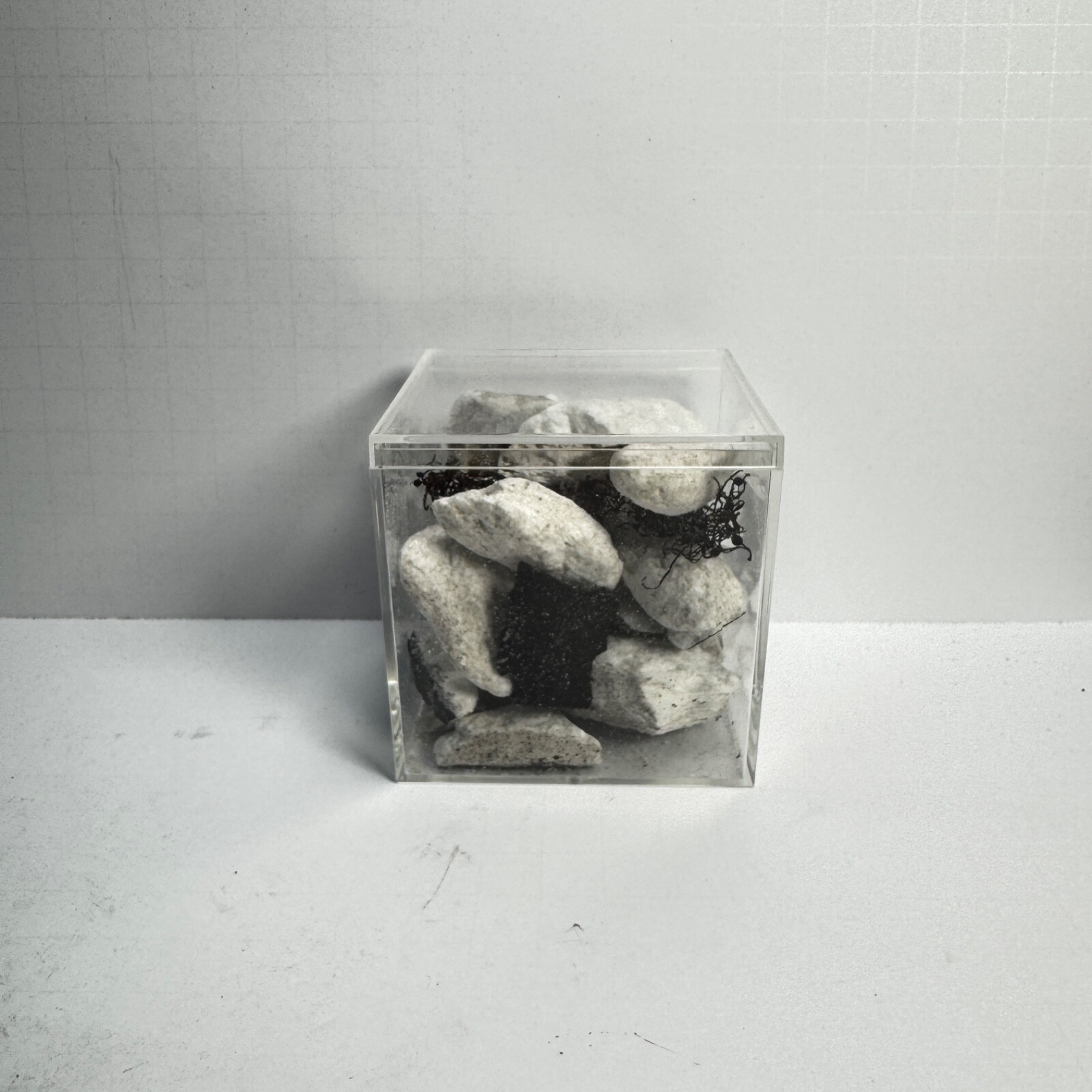 Space X Starship 34 - Recovered Heat Shield Tile Pieces - Flight 8