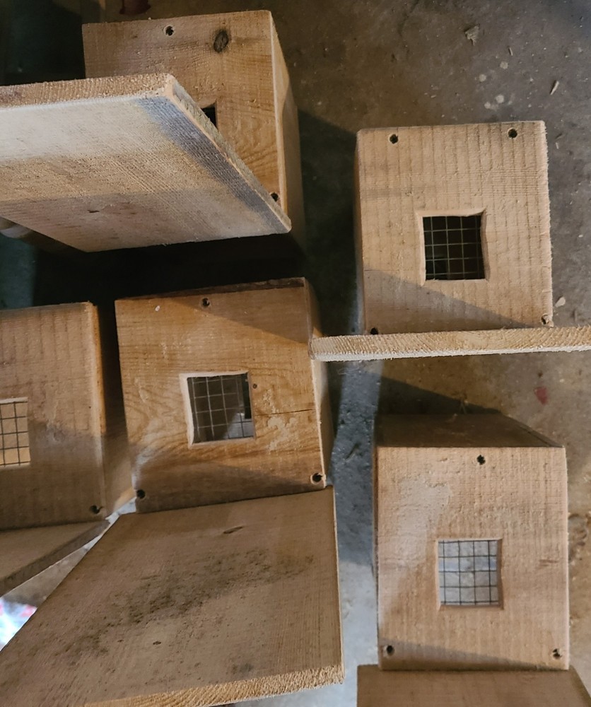 HILL TOP TRAPS WEASEL , RAT , MOUSE BOXES 2 PK