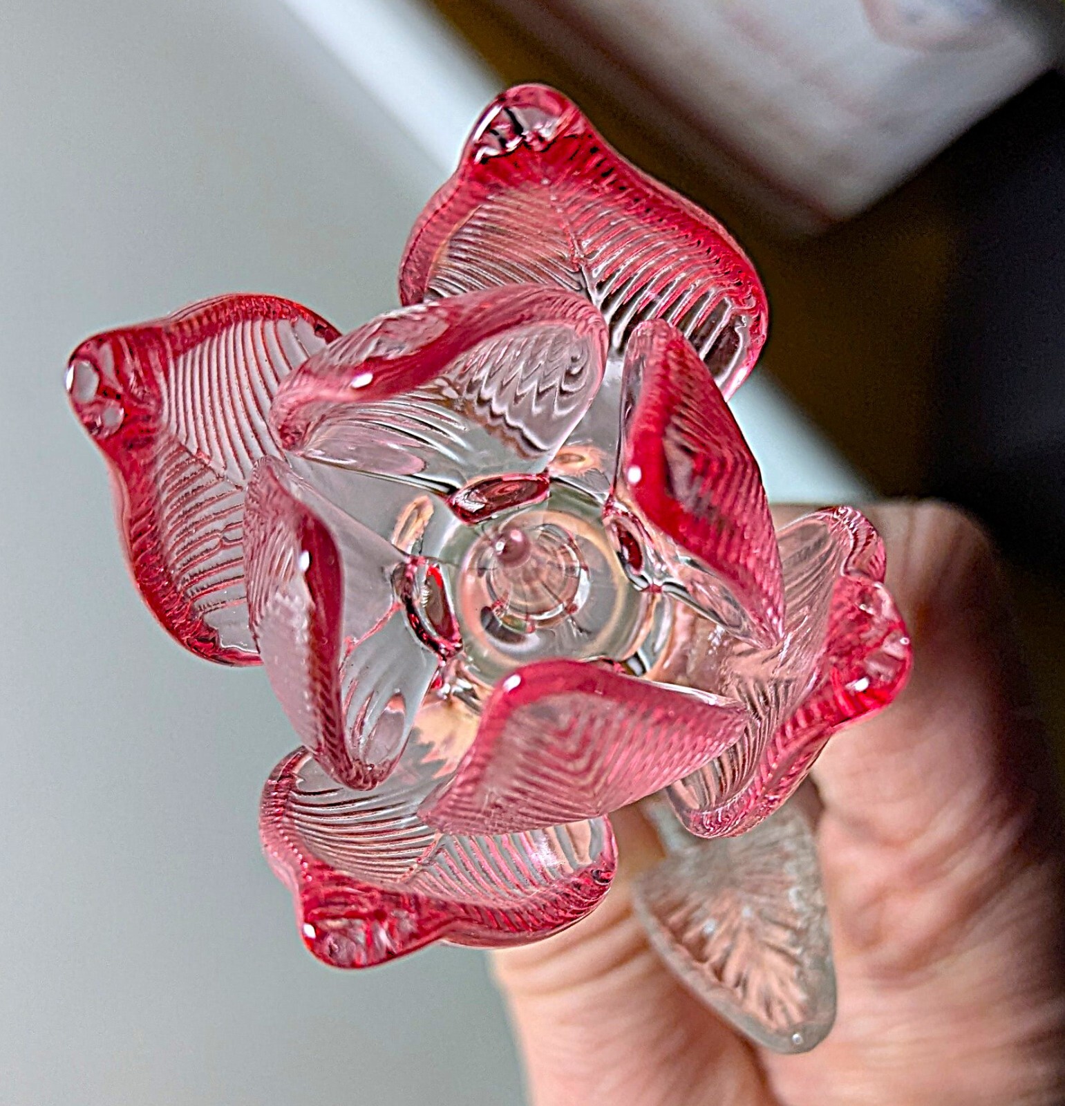 Waterford Fleurology Pink 14.5" Tulip Flower! NIB!