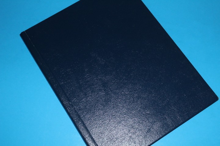 Local Posts Herman Herst Jr George Fabian 1980 Shrub Boca Raton BlueLakeStamps