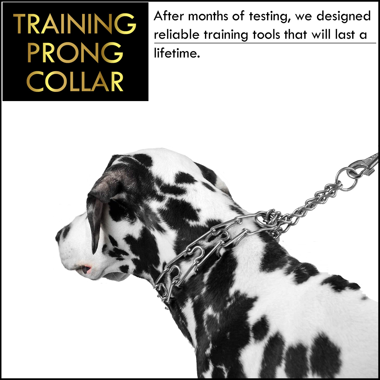 Prong Pinch Collar for Dogs Adjustable Training Chocker with Safe Quick Release