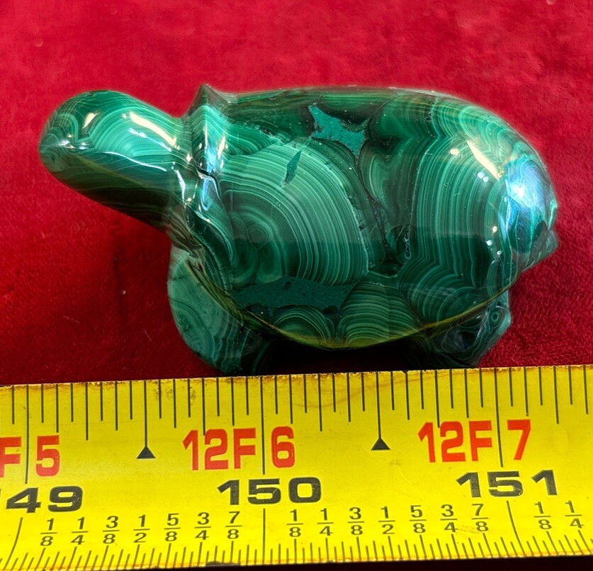 2” Malachite Turtle