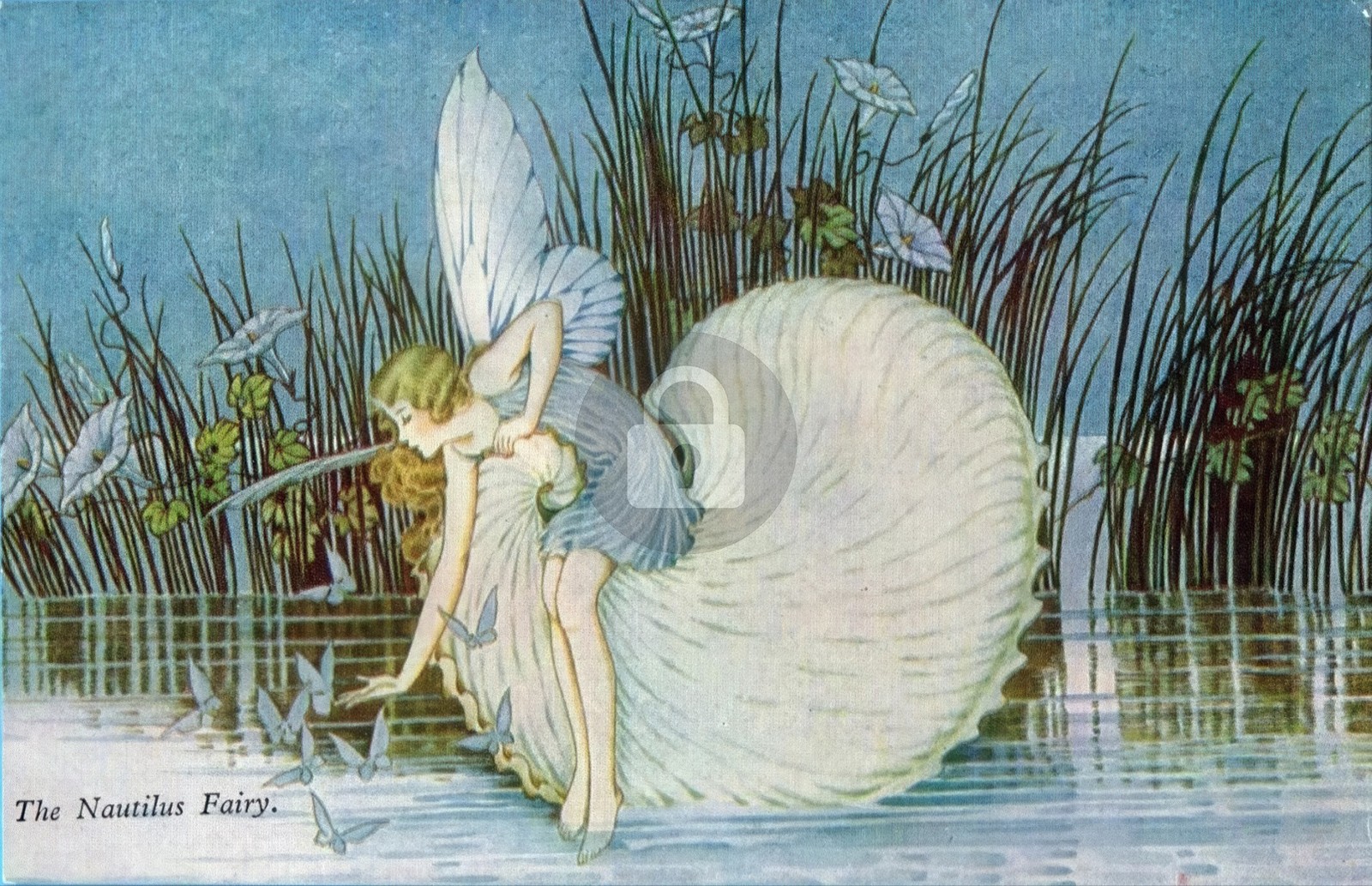 Ida Rentoul Outhwaite, The Nautilus Fairy Vintage Reproduction Postcard