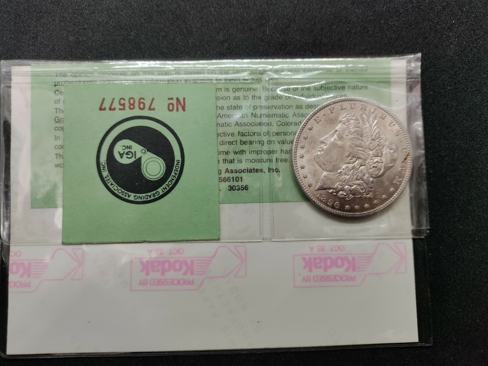 1896 Morgan Silver Dollar - IGA - MS+ Gem UNC