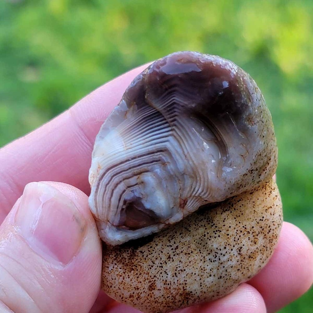 Random Pull RARE Botswana Agate Rough! Old Stock Lapidary Stone Materials!