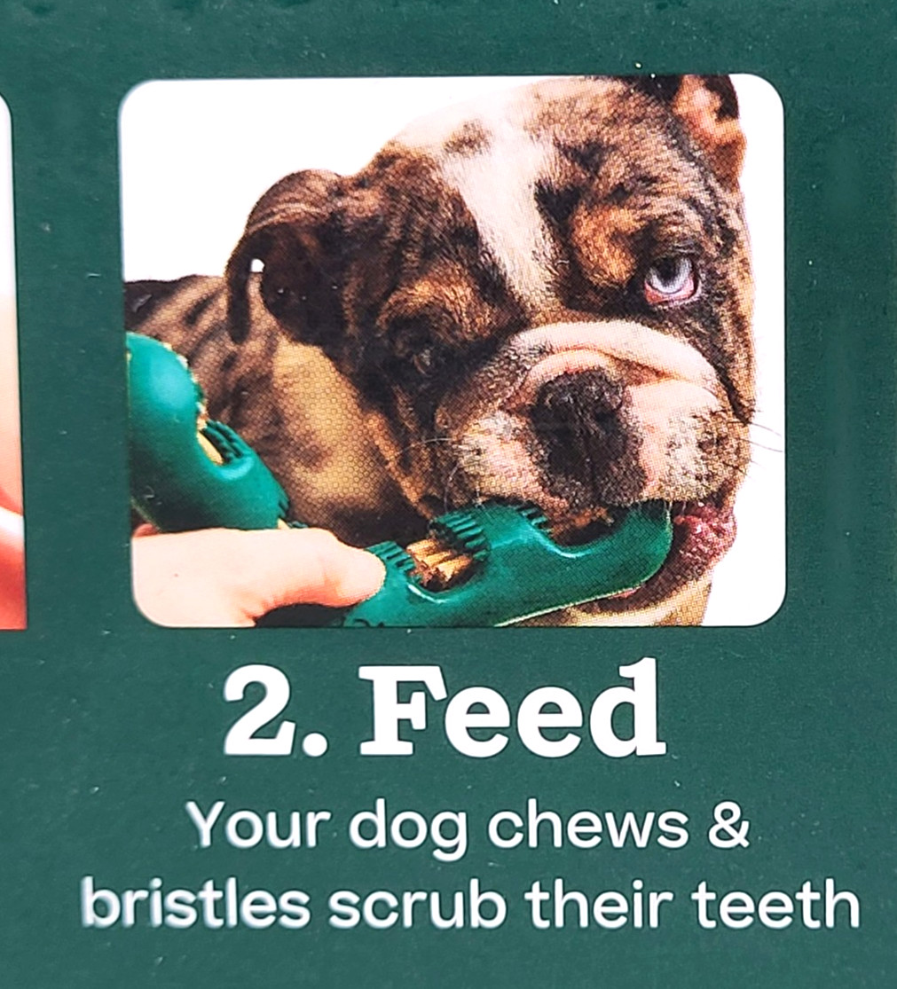 Woof Bite n' Brush Large Treat Holder Toothbrush Tough Non Toxic For Dogs 7.5"