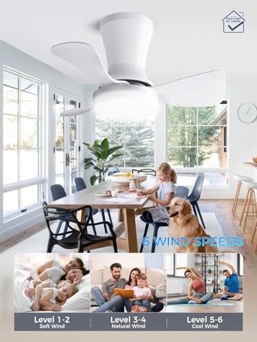 Ceiling Fans with Lights, App&Remote Control, Low Profile 22 Inch Silver White