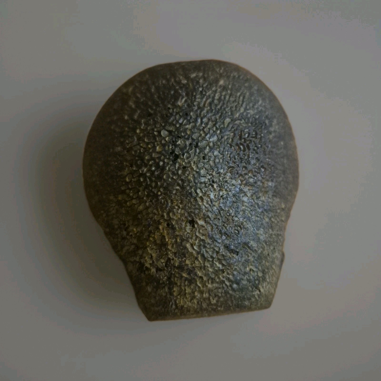 Rare Large Tibetan Kapala Citipati Bead - Relic